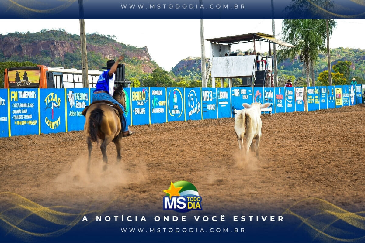 Imagem da Galeria